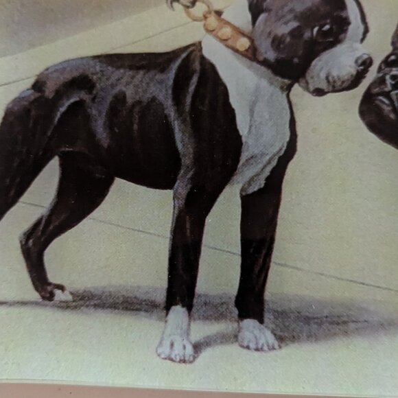 NWT Bulldog and Boxer Dogs MCM Retro Curved Glass Dish Decor Ashland Michael's - Picture 8 of 10